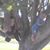 Lisa Bowers Munsey's profile image