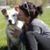 Theresa Lynn Jeffrey's profile image