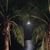Kathleen Pustelny's profile image