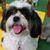 Marian Figueroa Guzman's profile image