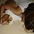 Carla Benvenuto's profile image