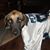 Heather Mauldin's profile image