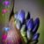 Heide Foster's profile image