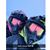 Kendra Baeten's profile image
