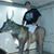 Dustin Plagmann's profile image