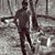 Whittaker Seth's profile image