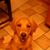 Kelly Brenneman's profile image