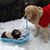 Rebecca Weisell's profile image