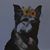 Kelly Hill Allen's profile image