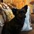 Lynda Chelotti's profile image