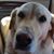 Mason Kibler's profile image