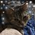 Aimee D Benoit's profile image