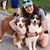 Bridget Petru Sonsel's profile image