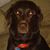 Marci Johnson's profile image