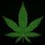 Rich Dutch's profile image