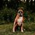 Sherry Wood McManis Ramsey's profile image