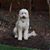 Nancy Wurzburg Shapiro's profile image