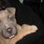 Jay Charlebois's profile image