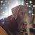 Cindy Patterson McCarty's profile image