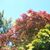 Patricia Pallas's profile image