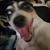 Todd DeWoody's profile image