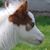Cathi Martin's profile image