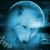 Donna Leah's profile image