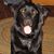 Linda Stoddard's profile image