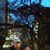 Tassi Shaddox's profile image