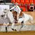 JoDee Peterson-Lochner's profile image