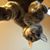 Donna Rae Marsh's profile image