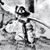 Dan Robinson's profile image