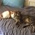 Rebecca Yantis's profile image