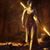 Brandy Maddock's profile image