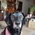 Lauryn Nygaard's profile image