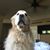 Matthew Mercurio's profile image