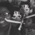 Patricia N. Johnson's profile image