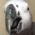 April Gates's profile image