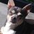 Stephan Lloyd-Trouten's profile image