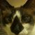 Darlene Heriard's profile image
