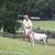 Gail Cunningham's profile image