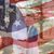 Ellen Drabek's profile image