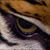 Cindy Hunt's profile image