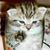 Angela Olson's profile image
