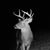 Dallas M. Sams's profile image