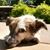 Debra Rector's profile image