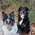 Bruce Hoefer's profile image
