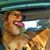 Colleen Bohman's profile image