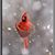 Julie Jackson Wilcox's profile image