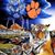 Wanda Wingo's profile image